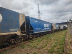 RUMO HTT-352995-1